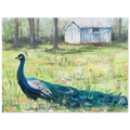 0eddf0b7-fb07-4e84-8031-dd0086feadf1