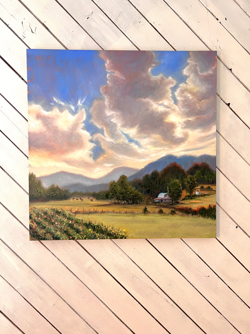 Georgia Vineyard