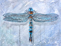 Dragonfly Limited Edition Print