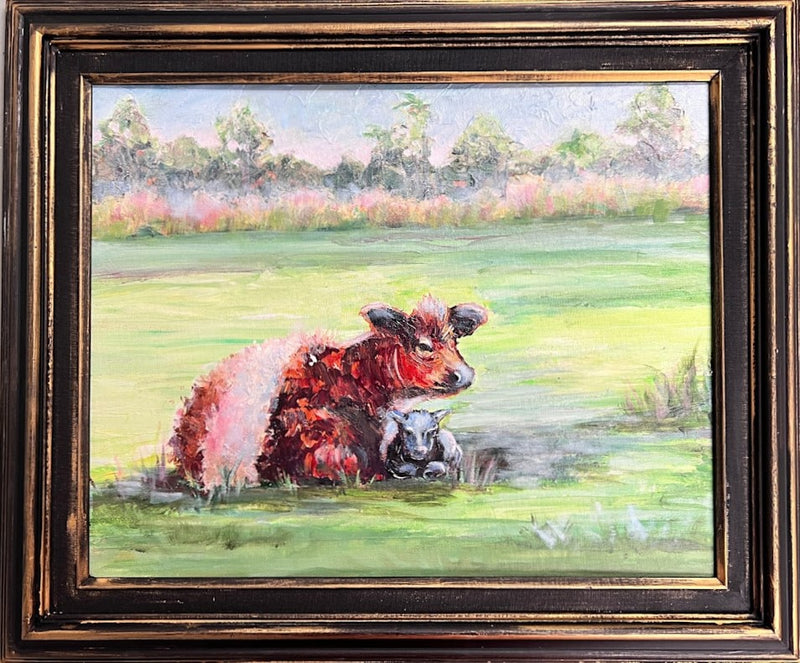 Mother and Calf Belted Galloway