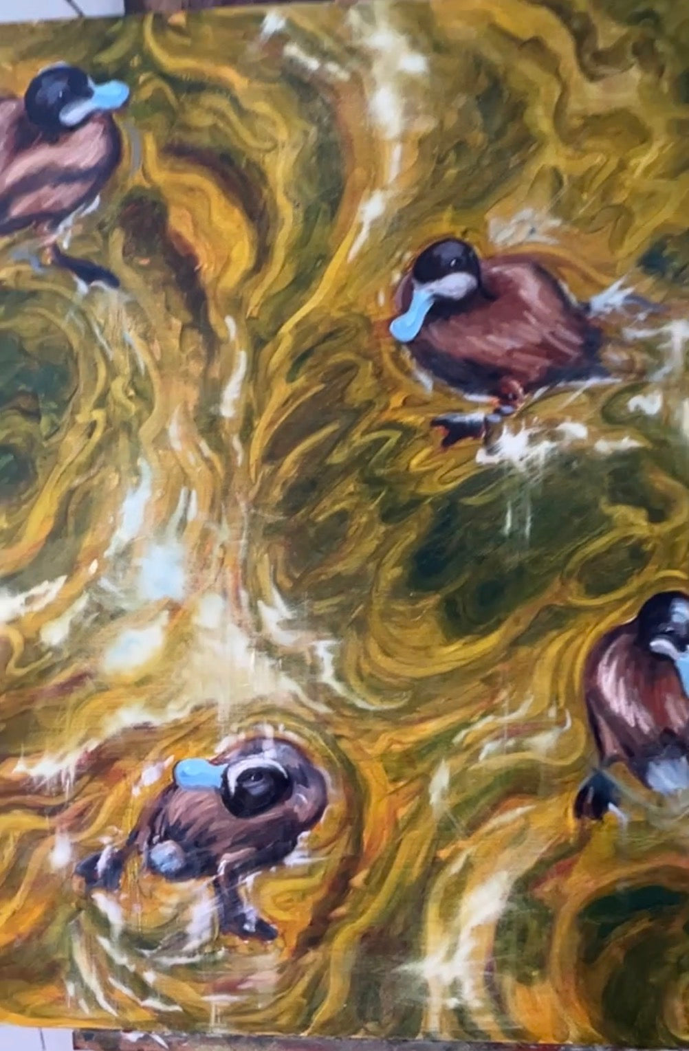 Blue-Billed Ducklings at Play