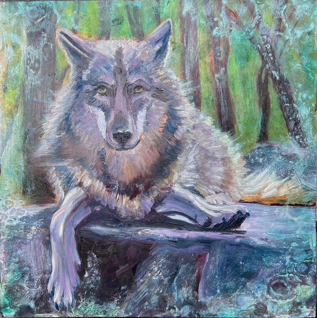 Wolf on the Rocks
