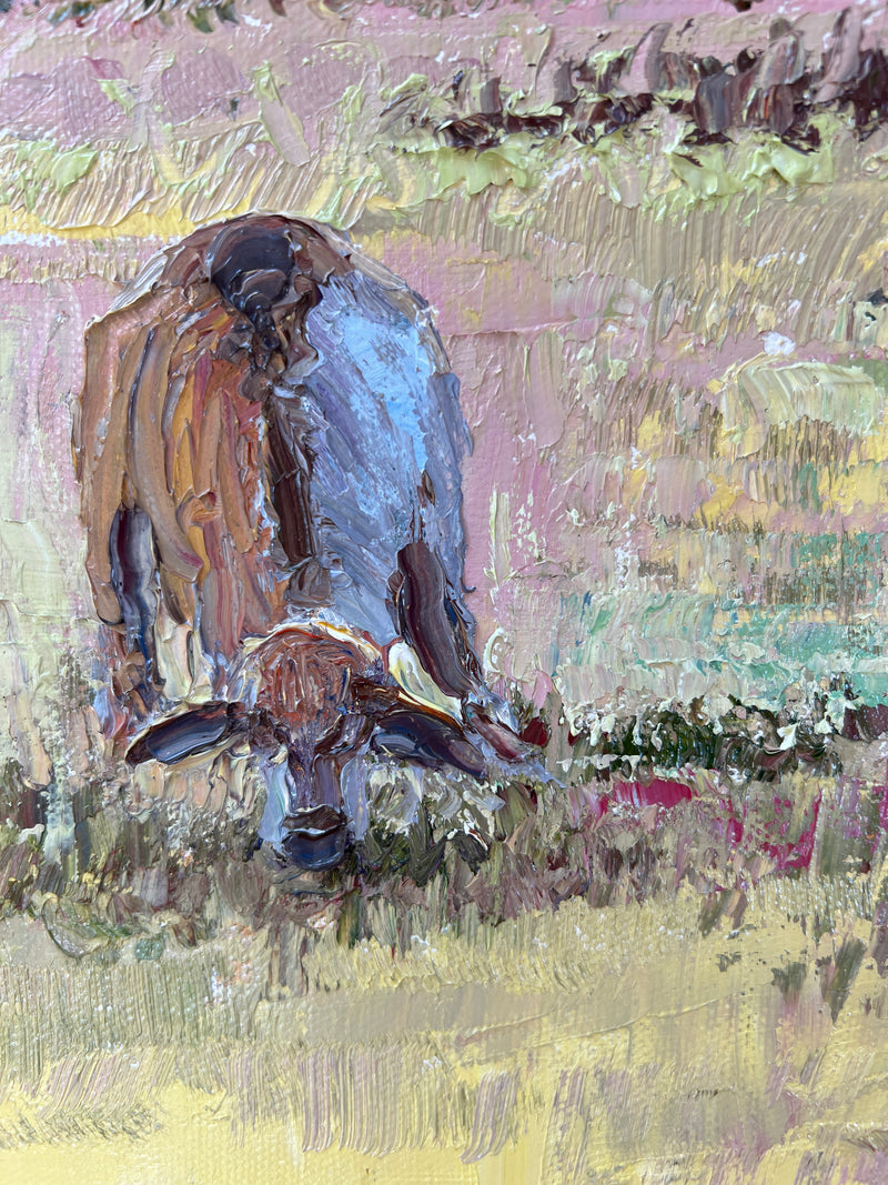 Brahman Cows in the Field