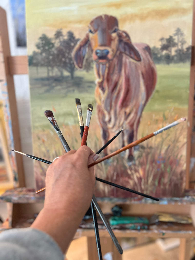 Brahman Brown Cow