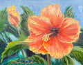 Hibiscus in Vintage Frame