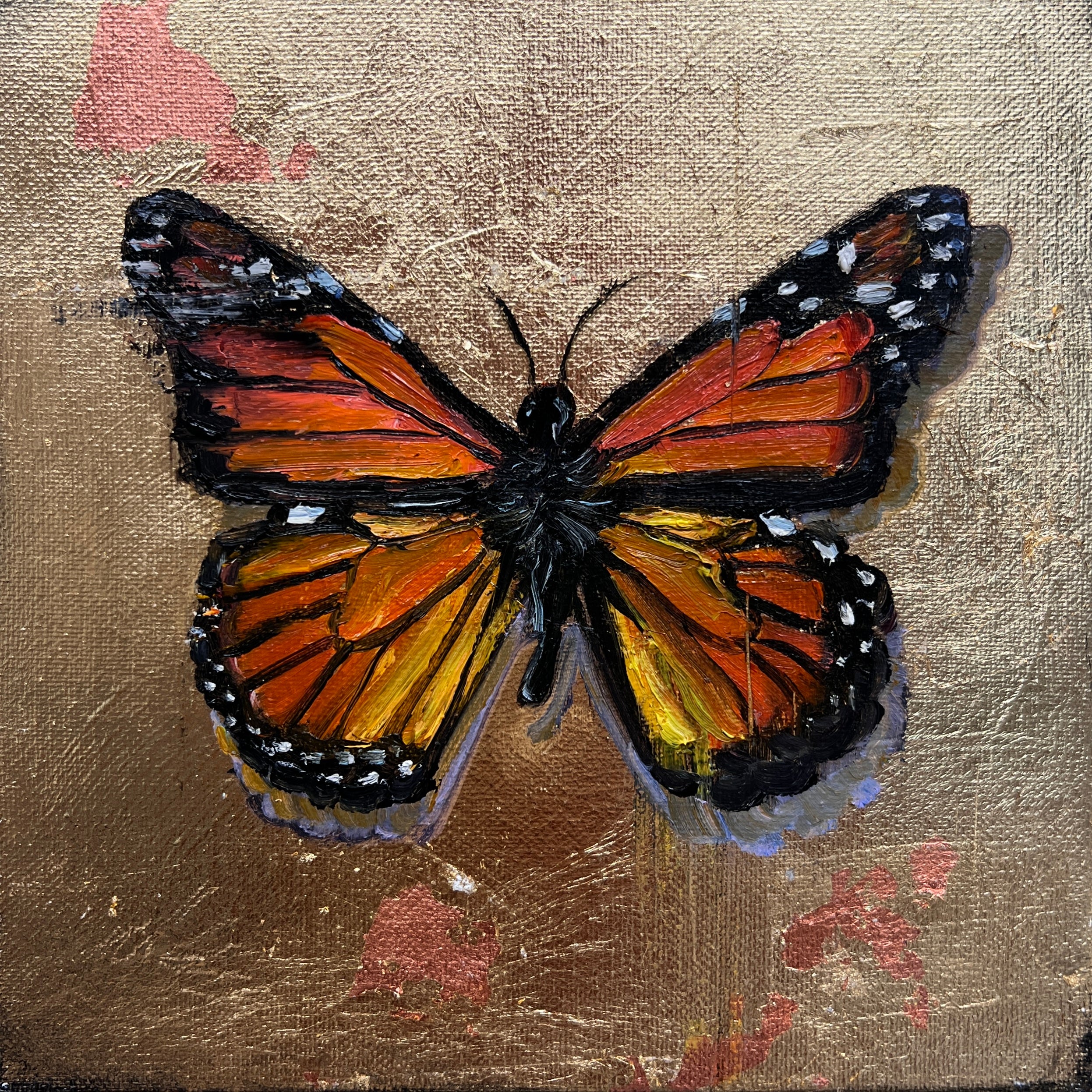 Monarch Butterfly