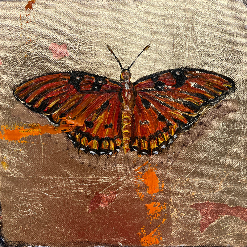 Gulf Fritillary butterfly