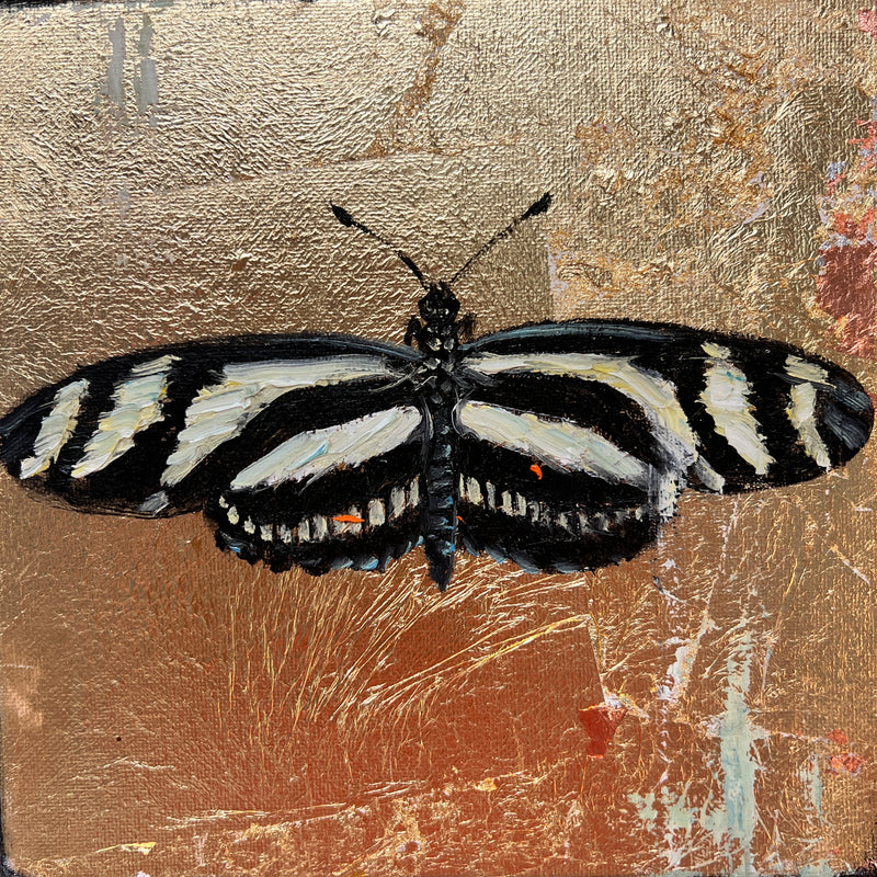 Zebra Longwing Butterfly