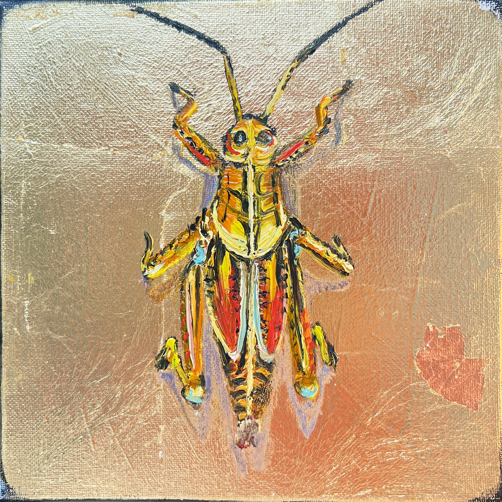 Eastern lubber Grasshopper
