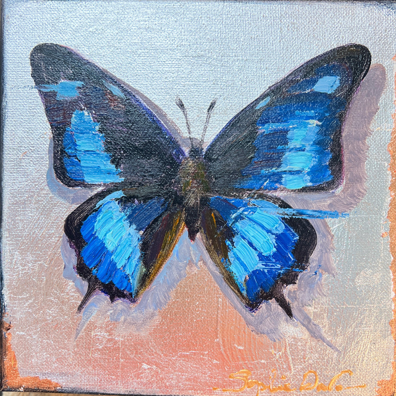 Blue Ulysses Butterfly