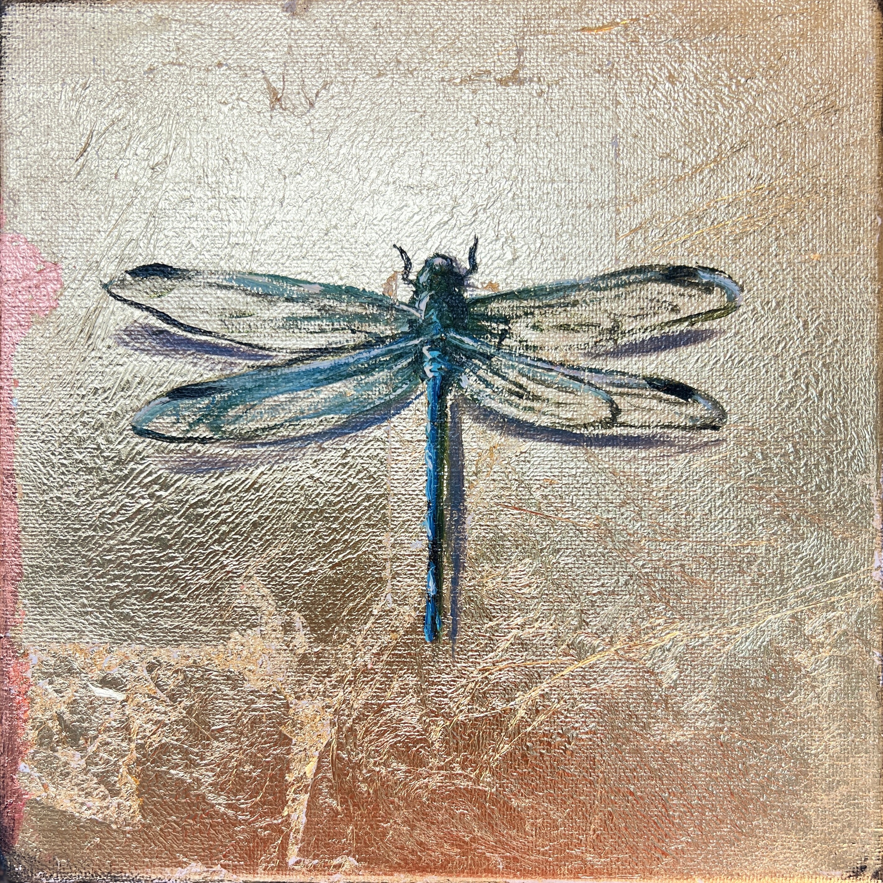 Spotted Skimmer Dragonfly