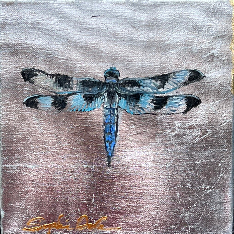 Tiger Dragonfly