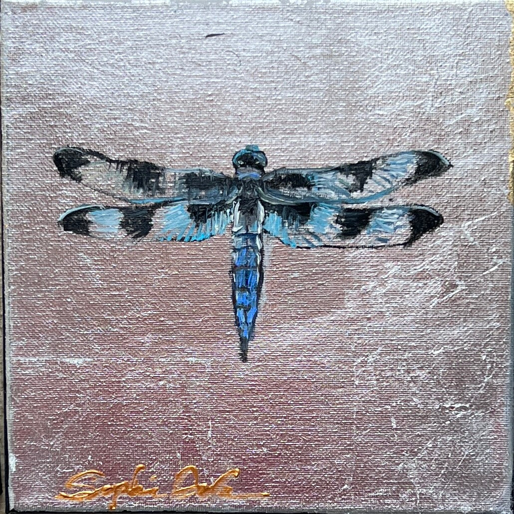 Spotted Skimmer Dragonfly