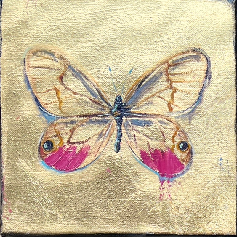 Glasswing Butterfly in Pink