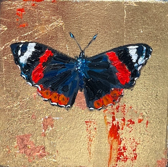 Red Admiral Butterfly