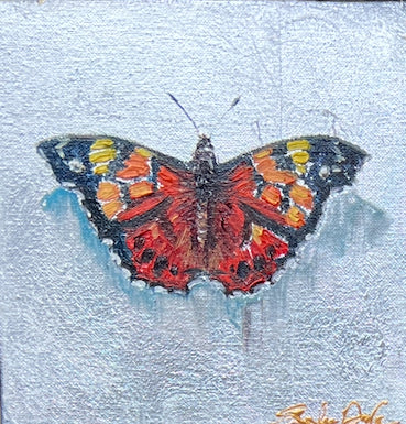 Painted lady Butterfly