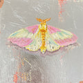 Rosy maple Moth