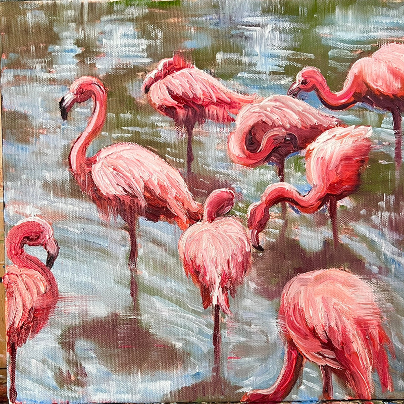 Flamingoes