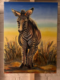 Zebra at Golden Hour