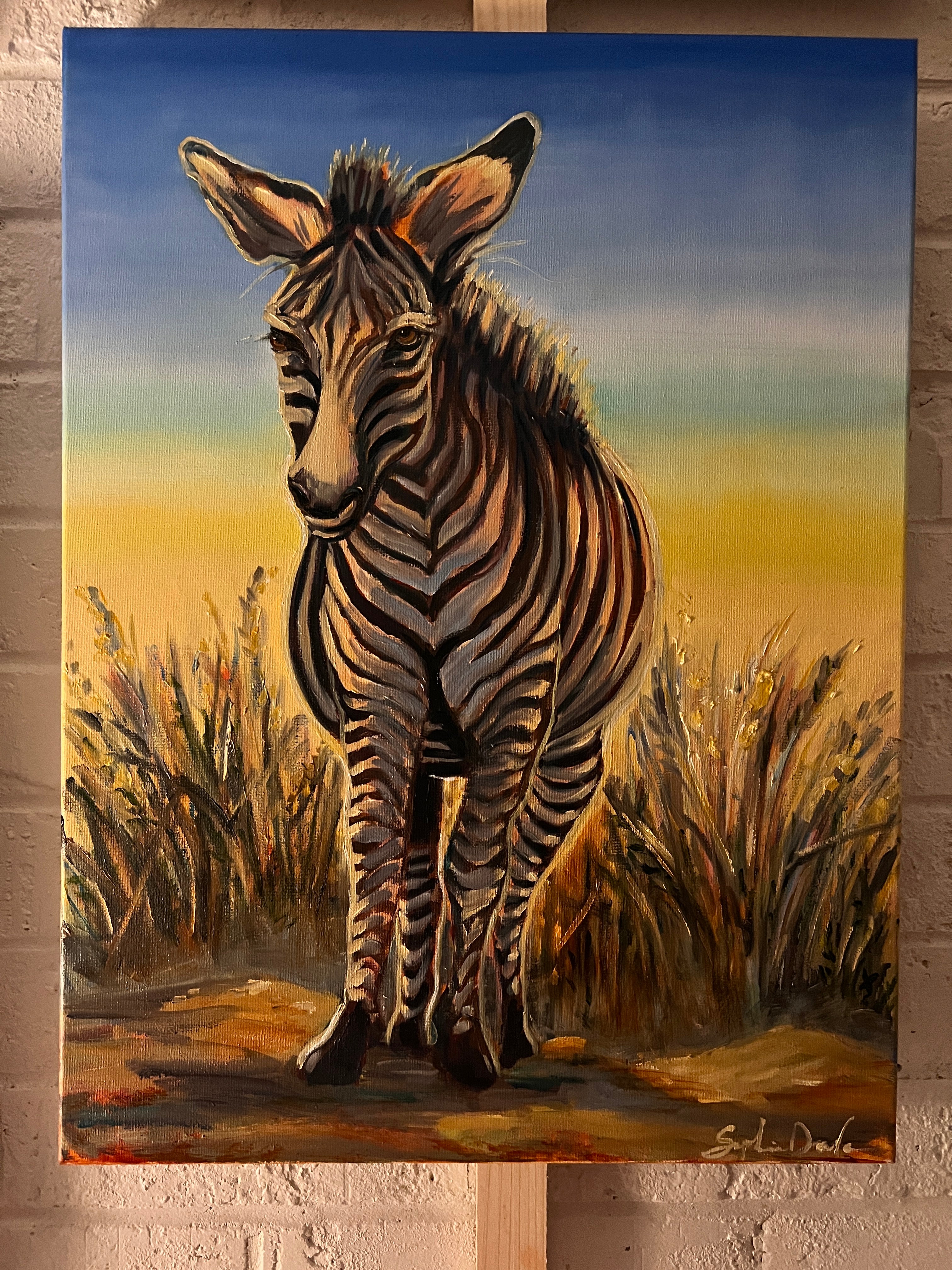 Zebra at Golden Hour