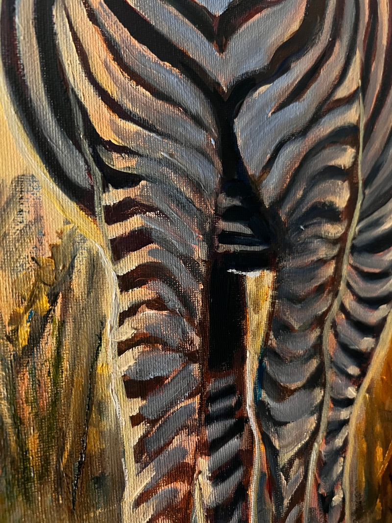 Zebra at Golden Hour