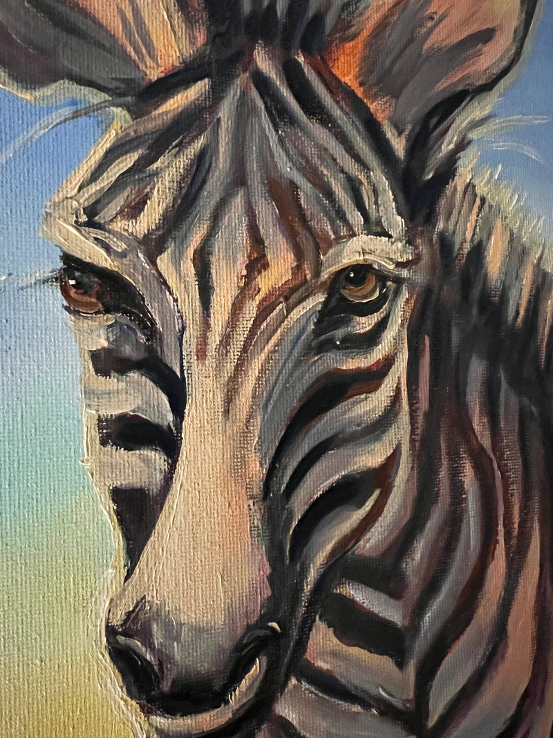 Zebra at Golden Hour
