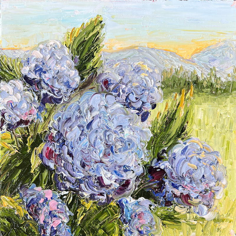 Hydrangeas in the Hills