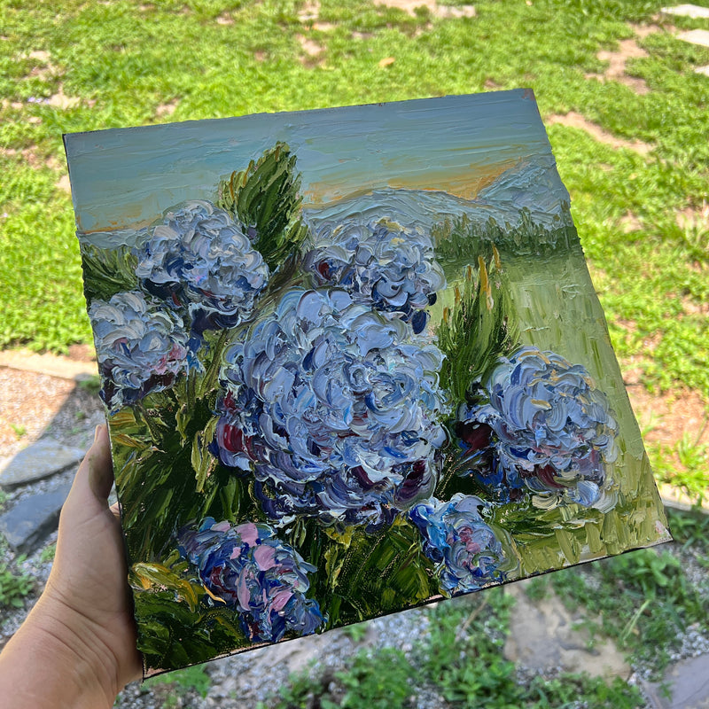 Hydrangeas in the Hills