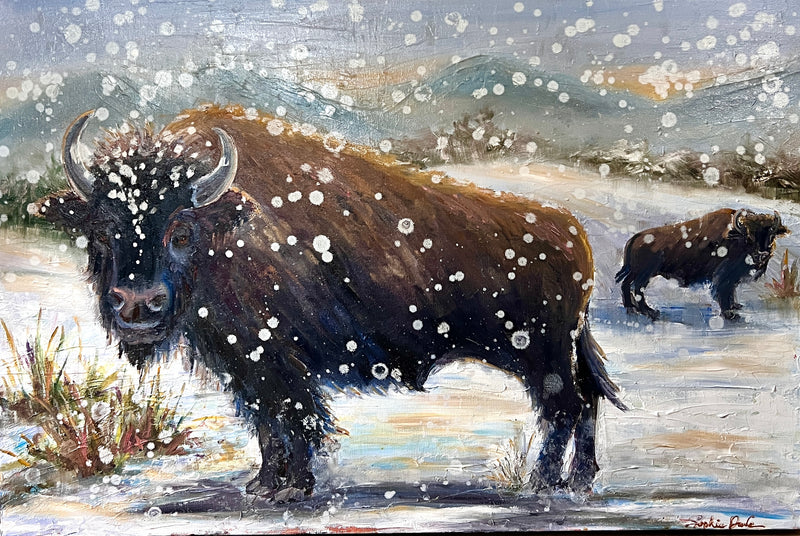 Buffalo in Snow