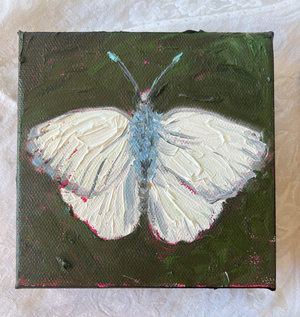 White Sulphur Butterfly #1