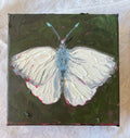 White Sulphur Butterfly #1
