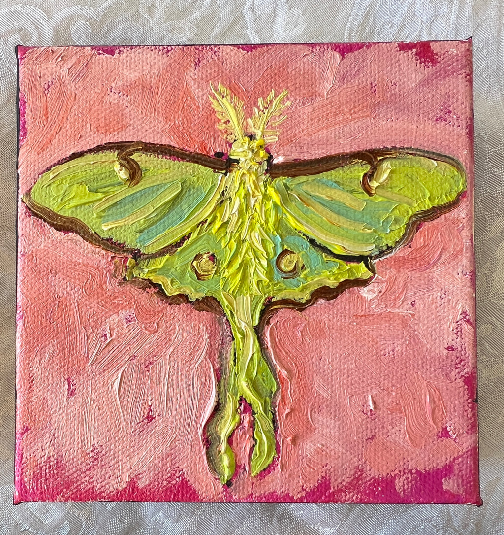 Luna Moth #4