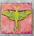 Luna Moth #4