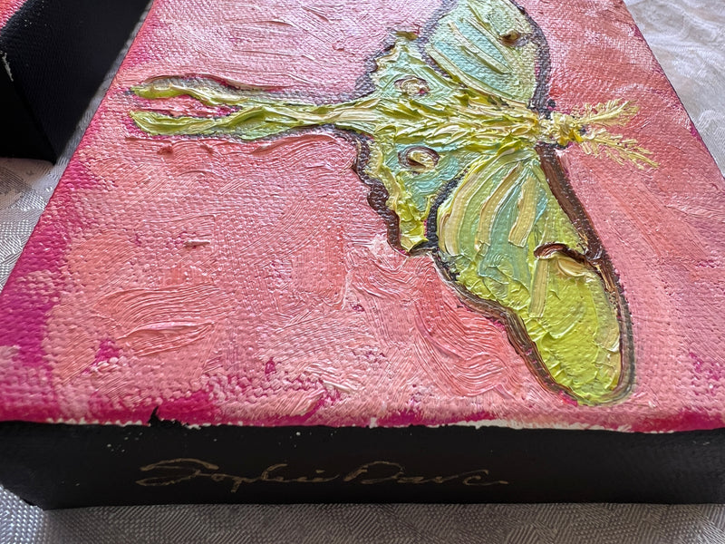 Luna Moth #4