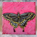 Swallowtail Butterfly #6