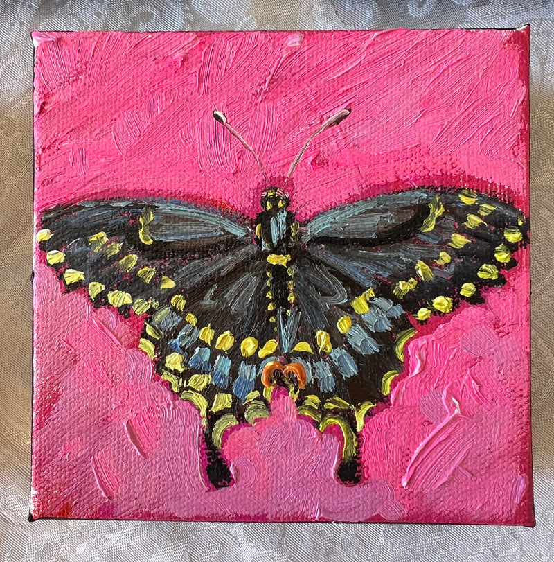 Swallowtail Butterfly #6