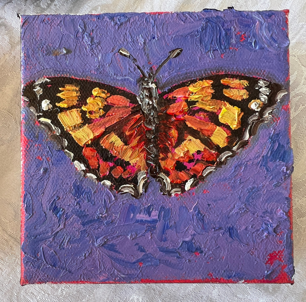 Painted lady Butterfly #8