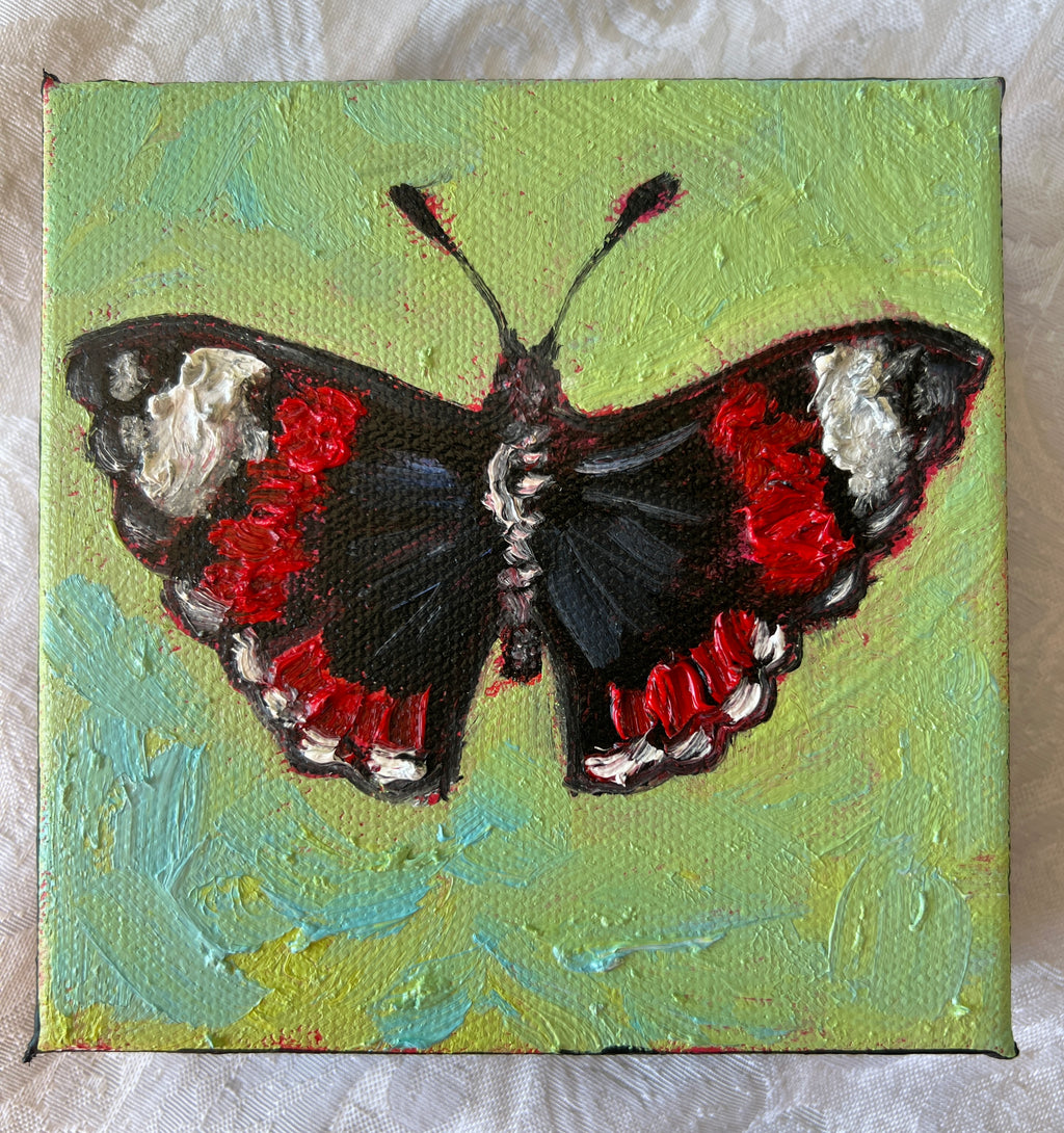 Red Admiral Butterfly #9