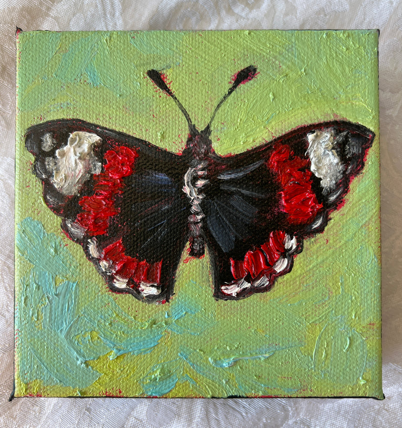 Red Admiral Butterfly #9