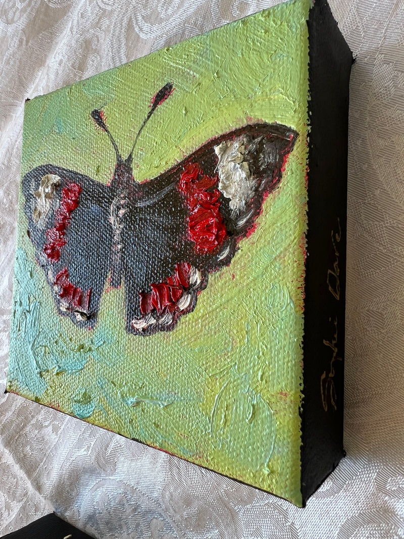 Red Admiral Butterfly #9