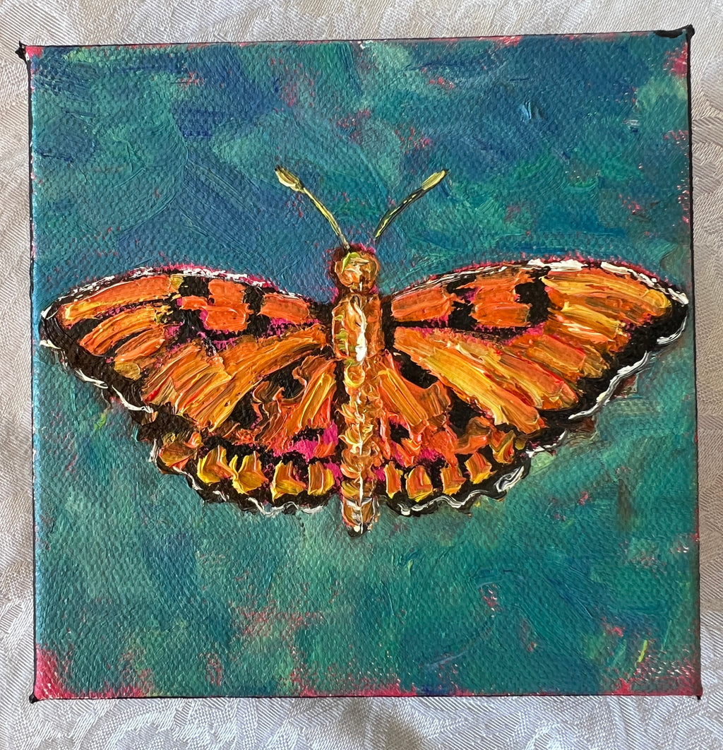 Gulf Fritillary Butterfly #11
