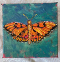 Gulf Fritillary Butterfly #11