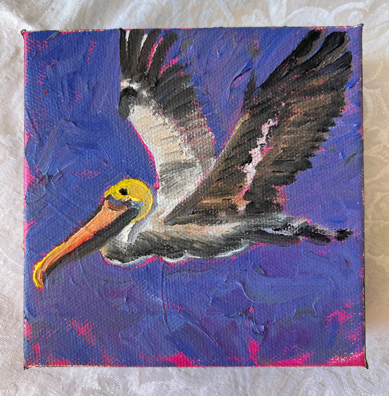 Pelican #13