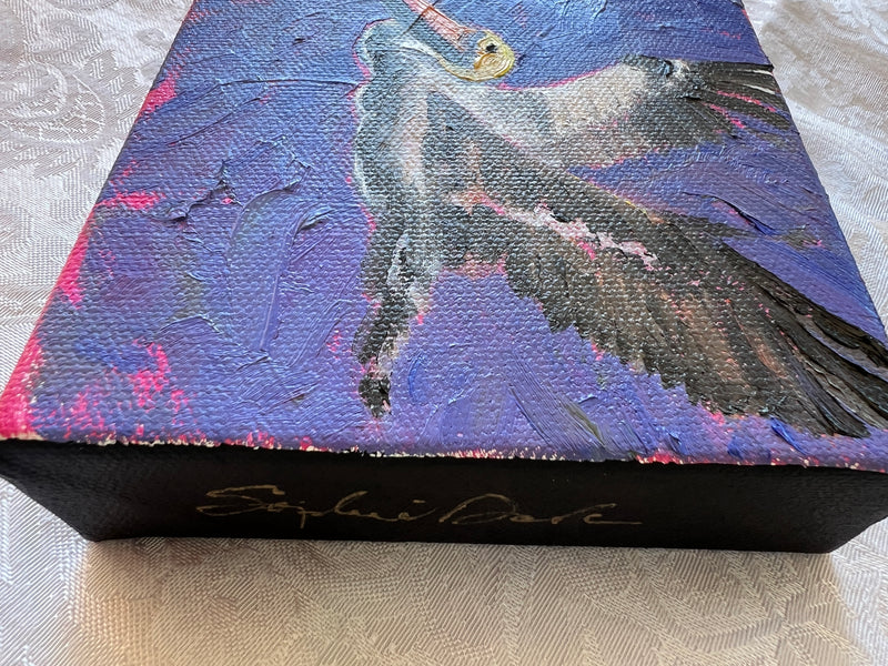 Pelican #13