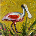 Roseate Spoonbill #15