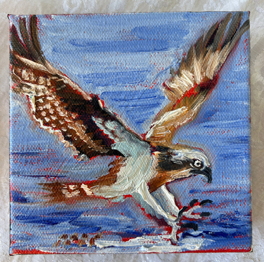 Osprey #17