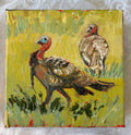 Wild Turkeys #19