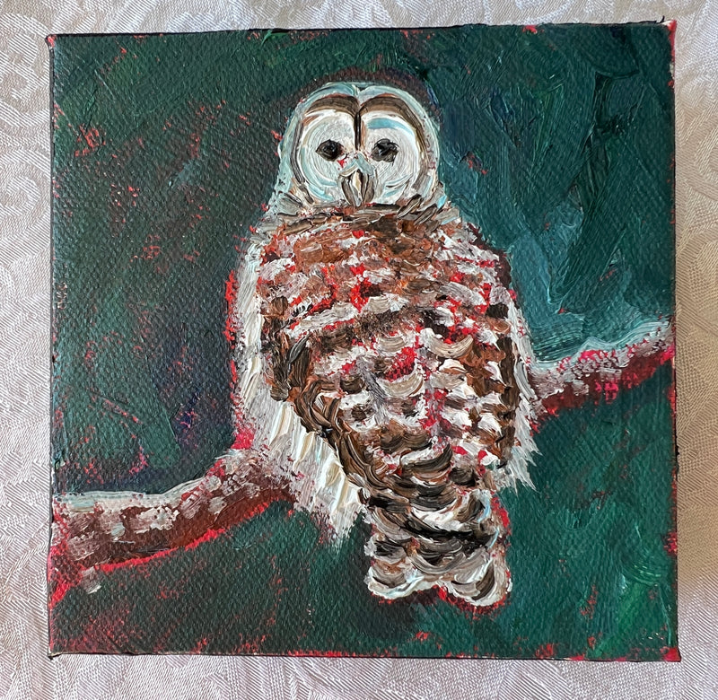Barred Owl #21