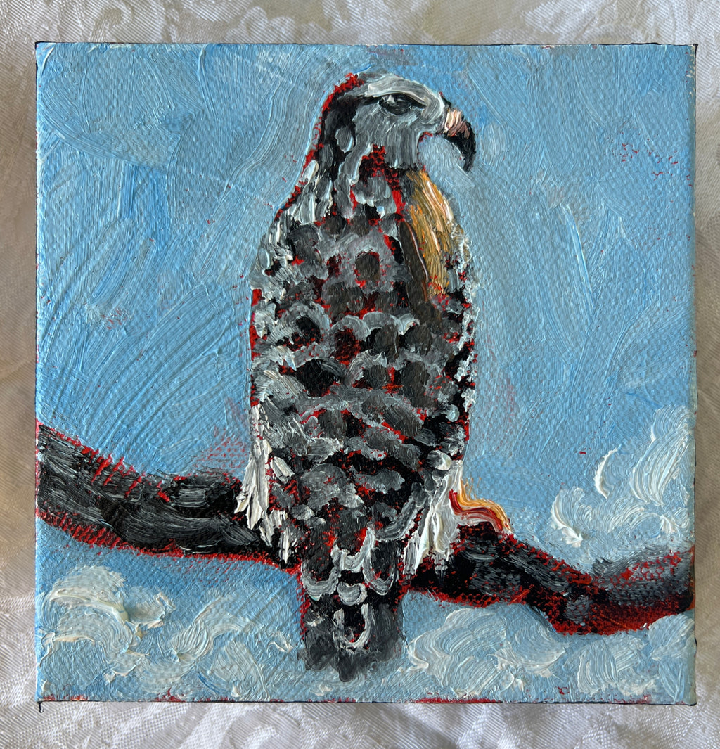 Hawk #23