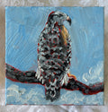 Hawk #23